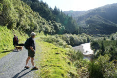 
Pakuratahi to the ford trackbed, September 2009